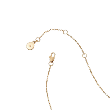 Gold chain with clasp on a white background