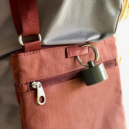 Lion Latch Jewelry Storage