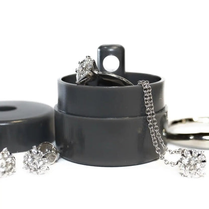 Lion Latch Jewelry Storage